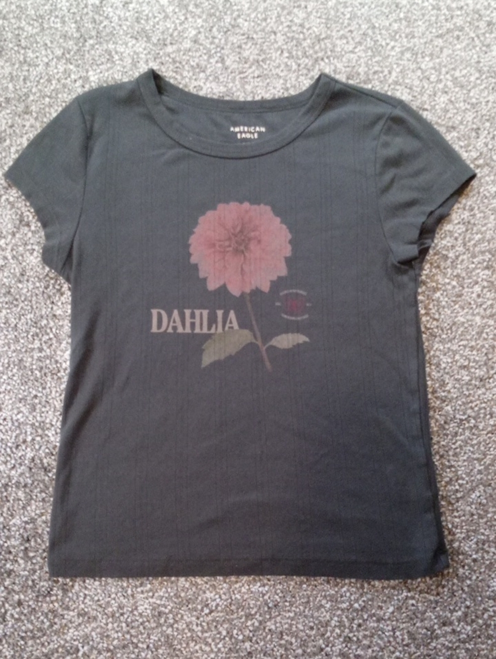 American Eagle Black Ribbed Crew Neck Tee